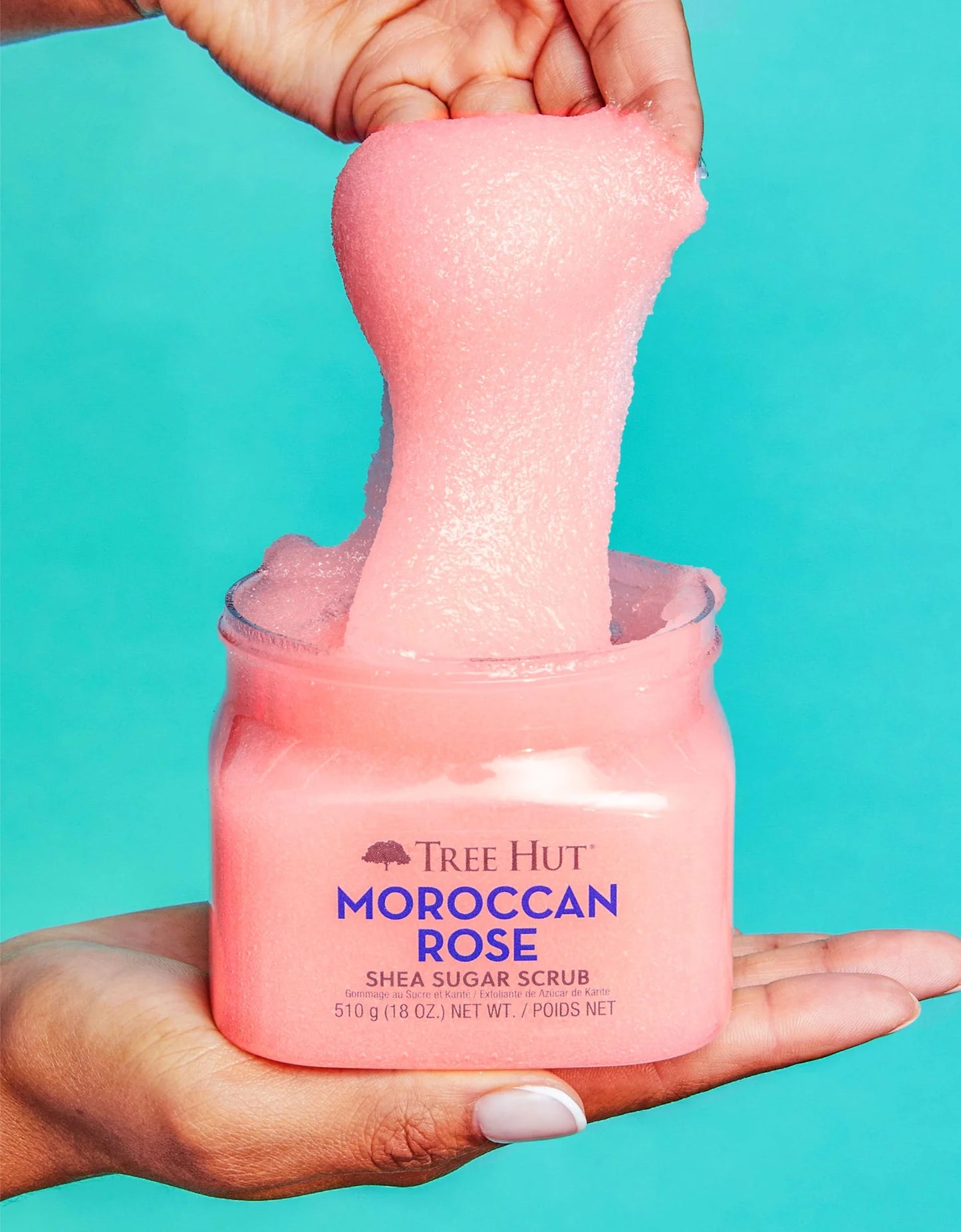 Tree hut moroccan rose shea sugar scrub